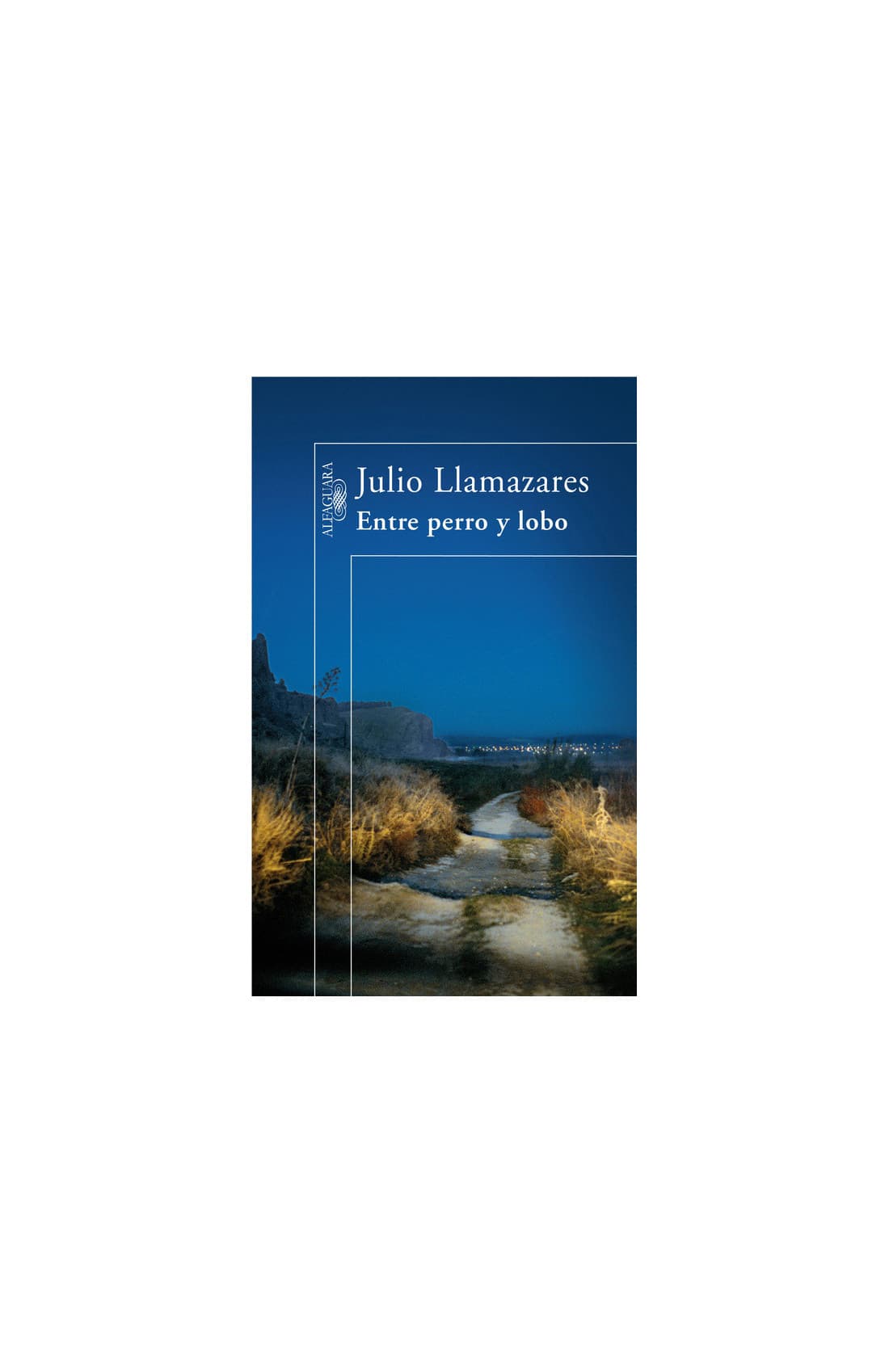 Julio Llamazares cover 6
